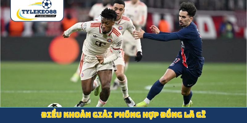 điều khoản giải phóng hợp đồng là gì