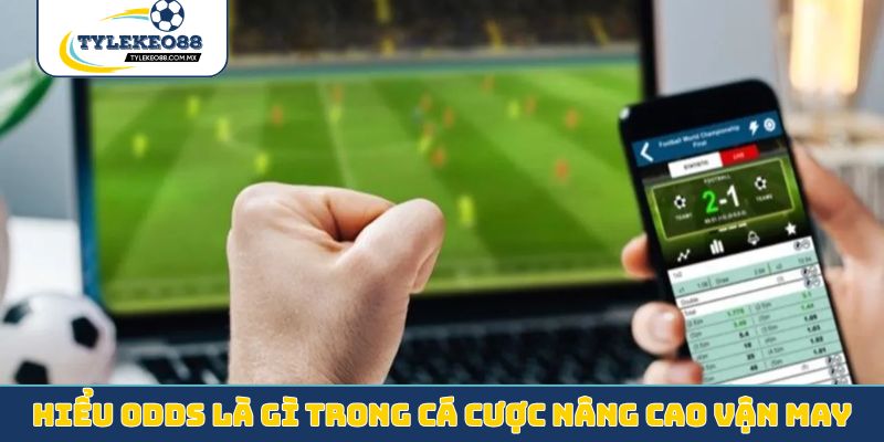 Hiểu odds là gì trong cá cược nâng cao vận may