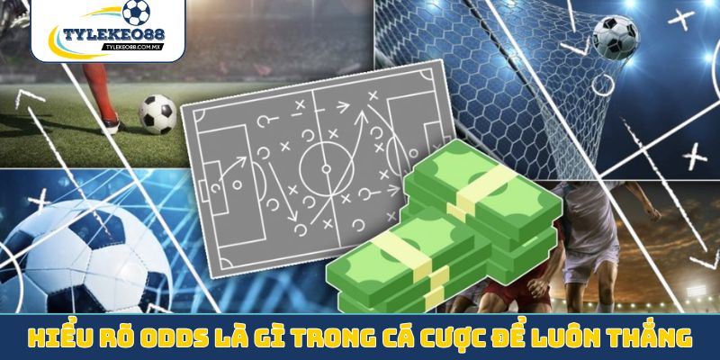 Hiểu rõ odds là gì trong cá cược để luôn thắng