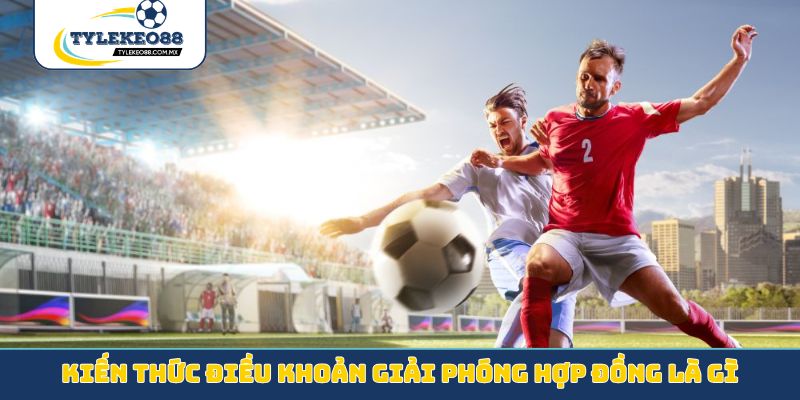Kiến thức điều khoản giải phóng hợp đồng là gì