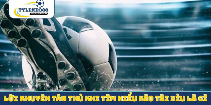 Lời khuyên cho tân thủ khi tìm hiểu kèo tài xỉu là gì