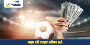 mẹo cá cược bóng đá