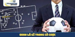 Odds Là Gì Trong Cá Cược
