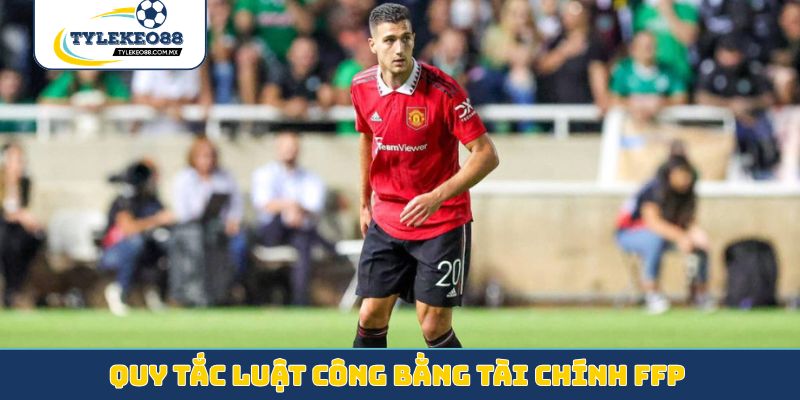 Quy tắc luật công bằng tài chính FFP