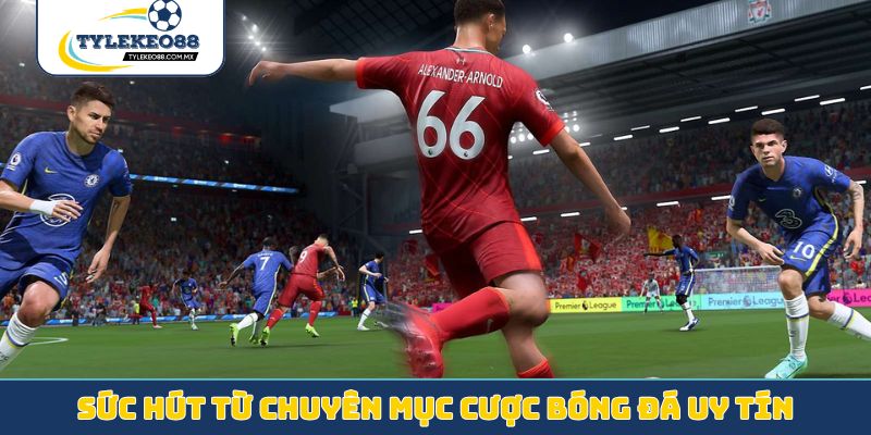 Sức hút từ chuyên mục cược bóng đá uy tín