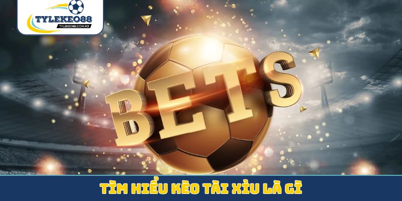 Tìm hiểu kèo tài xỉu là gì