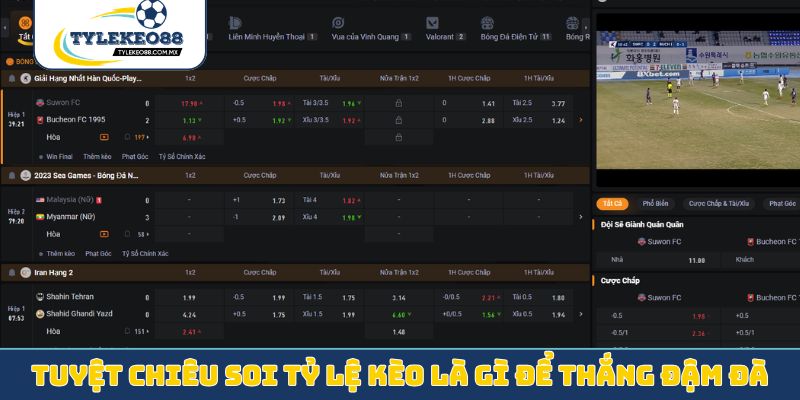 Tuyệt chiêu soi tỷ lệ kèo là gì để thắng đậm đà